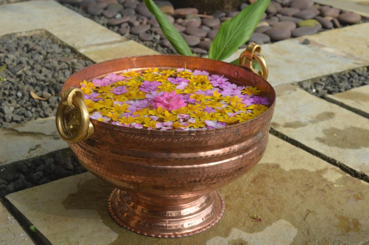 Andharban Homestay Hotel Pune